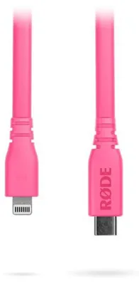 Image de SC19 Rose