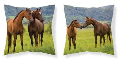 Immagine prodotto di Detexpol Federa per bambini 40x40 cavalli MF 22 Kids 114