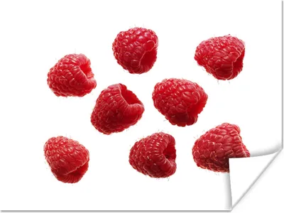 Produktbild von MuchoWow® Poster Obst - Himbeere - Weiß 120x90 cm - Wandbild