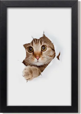 Produktbild von Bild 20x30 MDF-Rahmen, Wandkunst Katze