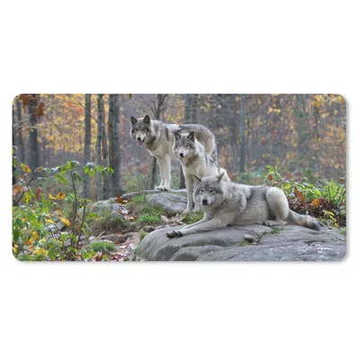 Obrázok produktu pre Podložka pod myš - Vlci - Skala - Les - 80x40cm - Rohožka pod myš
