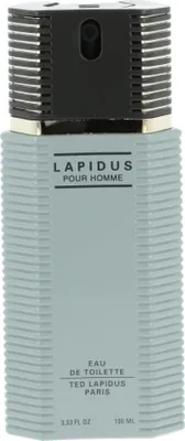 Obrázek produktu pro Ted Lapidus Pour Homme EDT 100 ml M