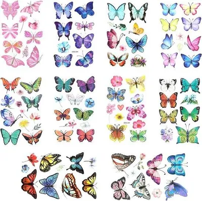 Immagine prodotto di Set di adesivi per tatuaggi da 99 pezzi con motivi a farfalla