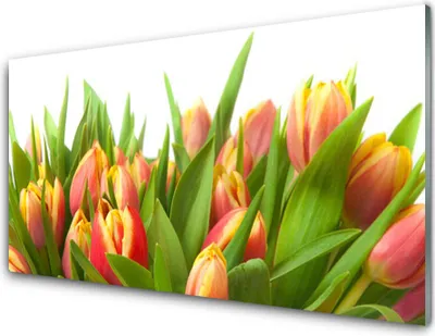Produktbild von Acrylglasbilder 100x50 Wandbild Druck Tulpen Pflanzen