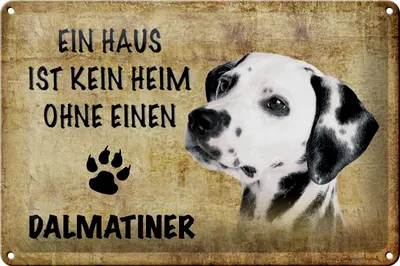 Produktbild von Blechschild Spruch 30x20cm Dalmatiner Hund ohne kein Heim