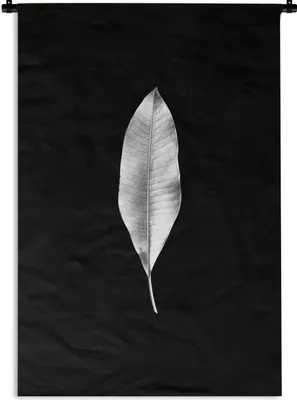 Produktbild von MuchoWow® Wandteppich Wandbehang Längliches Blatt auf schwarzem Hintergrund - schwarz und weiß 120x180 cm Tapisserie Dekoration Wandtuch - Schlafzimmer - Dekorationen für das Haus