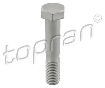 Obrázok produktu pre Skrutka TOPRAN 503 386 69 mm