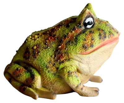 Produktbild von Handbemalte Gartenfigur eines Frosches aus Kunstharz