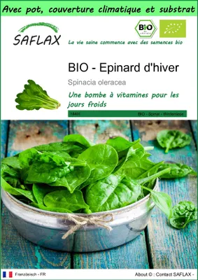 Image de SAFLAX Garden to go -- Epinard d'hiver - 250 graines - Spinacia