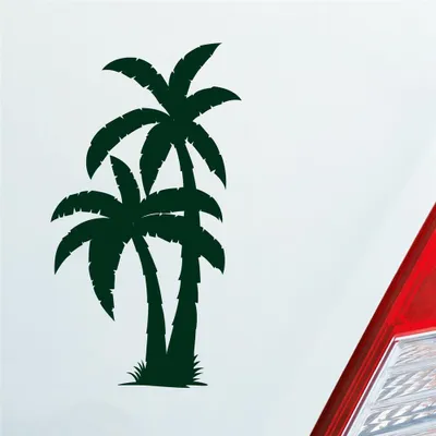 Produktbild von Auto Aufkleber Palme Palms Beach Strand Kokospalme Pflanze 5x10 cm Dunkelgrün Sticker Heckscheibenaufkleber