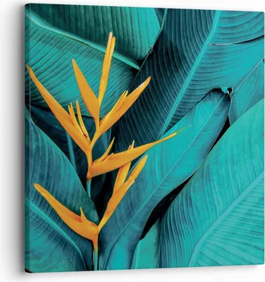 Produktbild von Bild auf Leinwand - Leinwandbild - Einteilig - Blumen Tropen Blätter - 30x30cm - Wand Bild - Wanddeko - Wandbilder - Leinwanddruck - Bilder - Wanddekoration - Leinwand bilder - Wandbild - AC30x30-5116