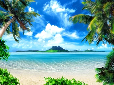 Produktbild von Sanders & Sanders Fototapete Strand-Motiv Blau und Grün - 600341 - 180 x 127 cm