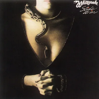Zdjęcie produktu dla Whitesnake - Slide It In (LP)