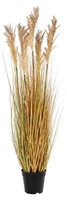 Produktbild von Künstliches Sorghumgras Natur H 110 cm