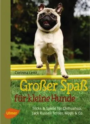 Productafbeelding van Großer Spaß für kleine Hunde