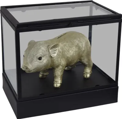 Image de LOFT42 Vitrines Showy noires - Métal - (27x30x20)