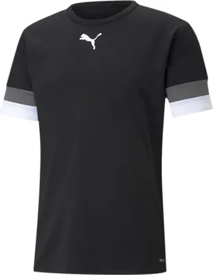 Produktbild von PUMA teamRISE Jersey PUMA BLACK-SMOKED PEARL-PUMA W L