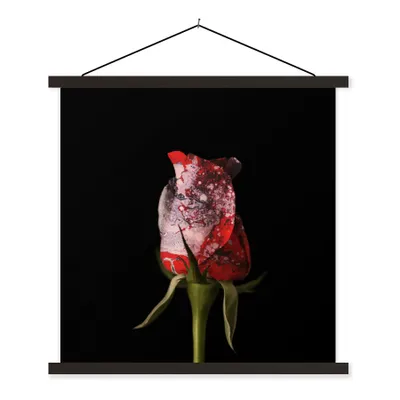 Produktbild von MuchoWow® Textilposter Rosen - Blumen - Farbe 60x60 cm mit schwarzem Rahmen - Posteraufhänger