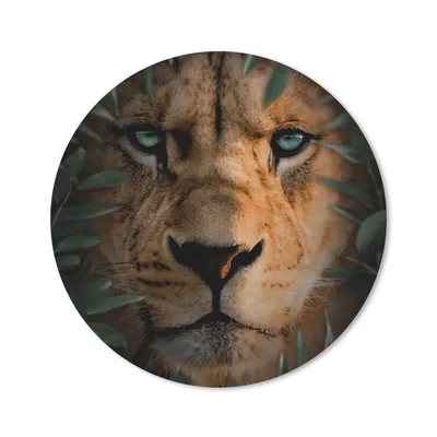 Produktbild von MuchoWow® Mauspad Mousepad Pflanzen - Löwe - Natur 50x50 cm - Mousepads - Maus Mat - Pad - Mausunterlage - Vinyl