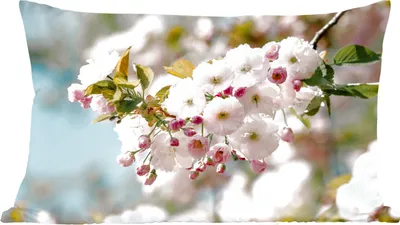 Produktbild von MuchoWow® Zierkissen Sofakissen Wohnzimmer Dekokissen 50x30 cm Blumen - Blüte - Frühling - Wohnzimmerdekoration - Polster mit Photo