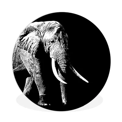 Produktbild von MuchoWow® Rundes Wandbild - Runde Bilder Elefant - Tiere - Schwarz - Weiß Ø 90 cm Kreis Wanddekoration Kunststoff - Wandkreis - Wandschmuck - Wand-Kreis - Wohnzimmer - Bild - Runde - Wanddeko - Dibond - Kunstdrucke