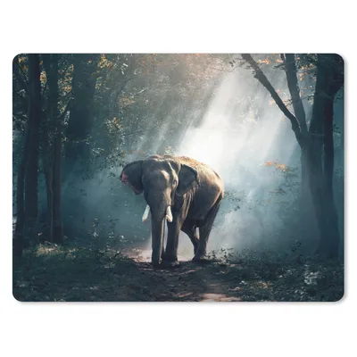 Produktbild von MuchoWow® Mauspad Mousepad Elefant - Tiere - Licht - Wald - Natur - Wildtiere 40x30 cm - Mousepads - Maus Mat - Pad - Mausunterlage - Anti Rutsch
