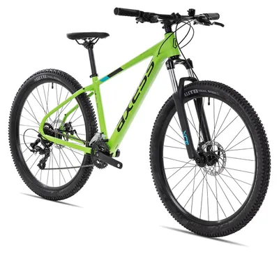 Produktbild von Axess SANDEE robustes Hardtail Mountainbike für Einsteiger 29 Zoll Grün 17 Zoll