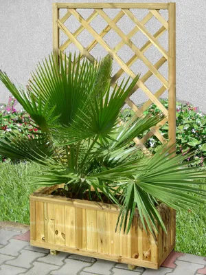 Produktbild von Blumenkasten mit Rankgitter Zizania 02 - 75 x 30 x 180 cm (B x T x H)