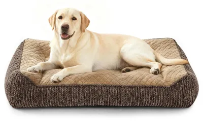 Immagine prodotto di Cuccia ortopedica per cani di grossa taglia, lavabile con rivestimento idrorepellente