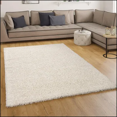Image de Tapis à poils longs Shaggy - Bravo - Tapis uni à poils longs Crème Dimensions 60 x 100 cm