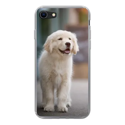 Produktbild von MuchoWow® Handyhülle Schutzhülle Hülle für iPhone 8 Ein Golden Retriever Welpe läuft auf dem Bürgersteig Silikon Softcase Handy Hülle - Schutzhaube