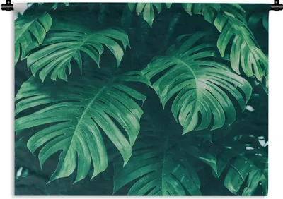 Produktbild von MuchoWow® Wandteppich Wandbehang Monstera - Blätter - Pflanzen - Dschungel - Natur 60x45 cm Tapisserie Dekoration Wandtuch - Das Schlafzimmer