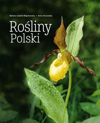 Obrázok produktu pre Rośliny Polski wyd. 2026
