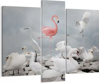 Produktbild von Bild auf Leinwand - Leinwandbild - 3 Teile - Flamingo Schwan Fantasie - 95x80cm - Wand Bild - Wanddeko - Wandbilder - Leinwanddruck - Bilder - Wanddekoration - Leinwand bilder - CB95x80-4929
