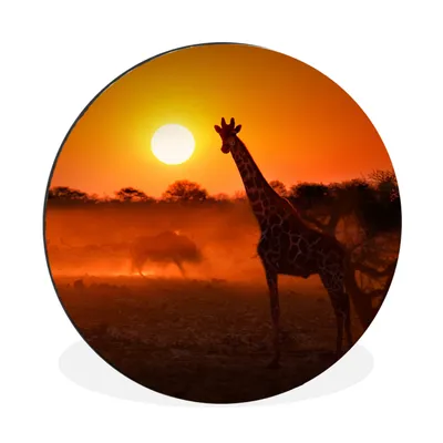 Produktbild von MuchoWow® Aluminium Wandkreis Giraffe - Sonne - Savanne Ø 60 cm Wanddeko Modern Wohnzimmer - Wand Kreis - Wandbild - Schlafzimmer - Aluminium Bild - Kinderzimmer - Wohnzimmer Dekoration - Wandschmuck
