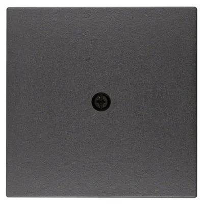 Immagine prodotto di Piastra centrale Berker 10191606