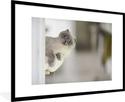 Produktbild von MuchoWow® MuchoWow® Gerahmtes Poster Katze - Tier - Wohnzimmer 90x60 cm - Poster mit zchwarzem Bilderrahmen - Wanddekoration - Fotos
