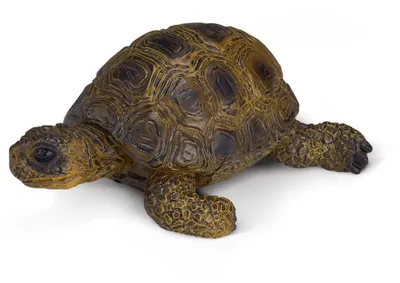 Produktbild von Schleich 14404 Schildkröte