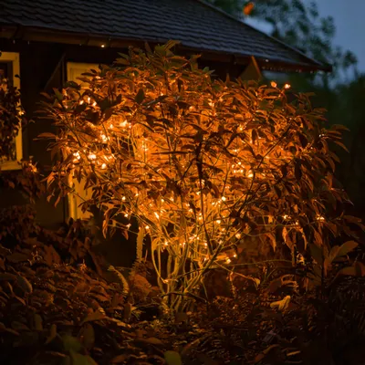 Produktbild von esotec Solar Lichterkette, 60 bernsteinfarbene LEDs, 6 Meter wetterfest 102172