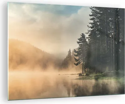 Produktbild von Bilder auf glas - Einteilig - Nebel See Wald - 70x50cm - Glasbilder - Wandbilder - Bilder - zum Aufhängen bereit - Wanddekoration aus Glas - Glas Bilder - Wandbild auf Glas - GAA70x50-4440