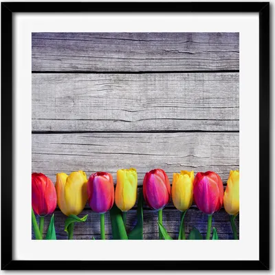 Produktbild von Bild - 50 cm x 50 cm - MDF - Rahmen, Wandkunst - Tulpen auf dem Holz
