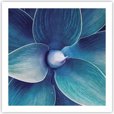 Produktbild von Poster - Poster ohne Rahmen - Agave Blau Blume - 60x60 cm - Wand Bild - Wanddeko - Wandbilder - Kunstposter - Wandposter - Bilder - Kunstdruck - Wanddekoration - Wandbild - P2XAC60x60-4972