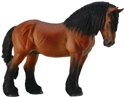 Immagine prodotto di Collecta Figūrėlė - Ardėnų arklys