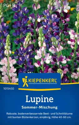 Produktbild von Kiepenkerl Lupinensamen Sommer Lupinus hartwegii 40 Pflanzen