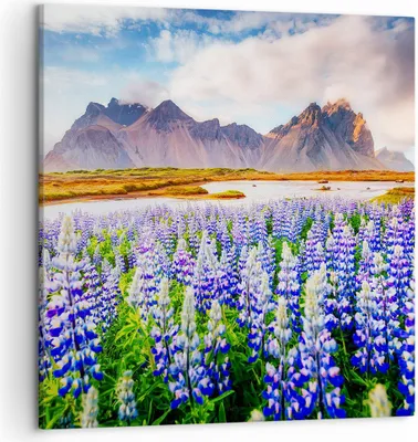 Produktbild von Bild auf Leinwand - Leinwandbild - Berge Wiese Blumen - 50x50cm - Wand Bild - Wanddeko - Wandbilder - Leinwanddruck - Bilder - Kunstdruck - Wanddekoration - Leinwand bilder - Wandkunst - AC50x50-4114
