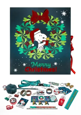 Productafbeelding van Adventskalender voor tieners, Peanuts, PSPY8026 / 2026