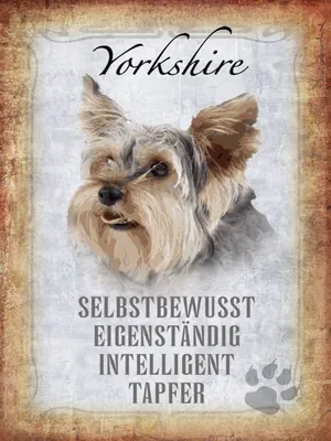 Produktbild von vianmo Holzschild 40x30 cm Yorkshire Hund