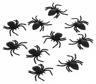 Produktbild von Ruhhy 26028 Dekorative Plastikspinnen HALLOWEEN – schwarz, 10 Stück