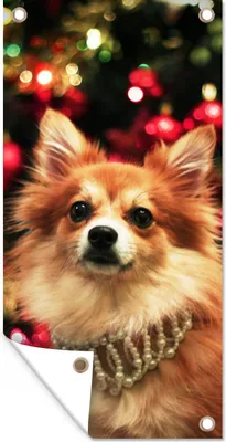 Produktbild von MuchoWow® 40x80 cm Outdoor-Poster Gartendeko Sichtschutz Garten Poster für den Garten  Hund zu Weihnachten