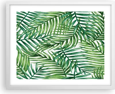 Produktbild von Gerahmtes Poster - Weißer Rahmen - Palme Blatt grün - 50x40 cm - Wand Bild - Wanddeko - Wandbilder - Kunstposter - Wandposter - Bilderrahmen - Bilder - Kunstdruck - Wandbild - P2WAA50x40-3777
